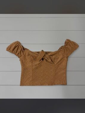 Urban Outfitters brown crop top